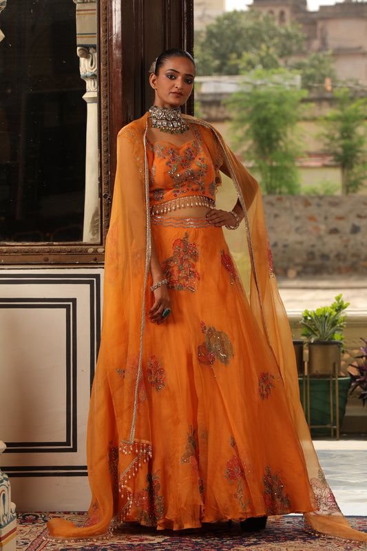 Tangerine Regal Embroidered Lehenga Set