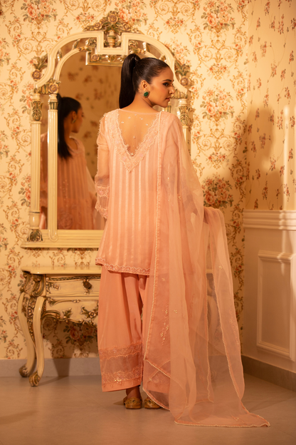Blush Dream Organza 3pc Set