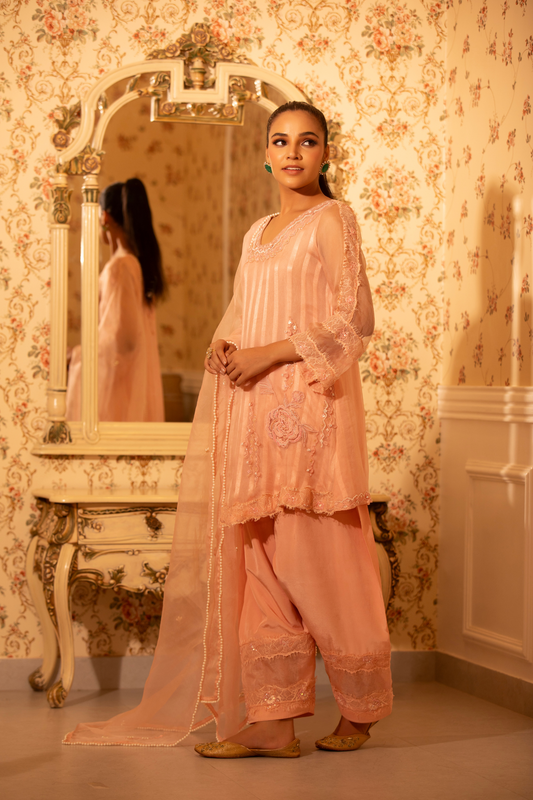 Blush Dream Organza 3pc Set