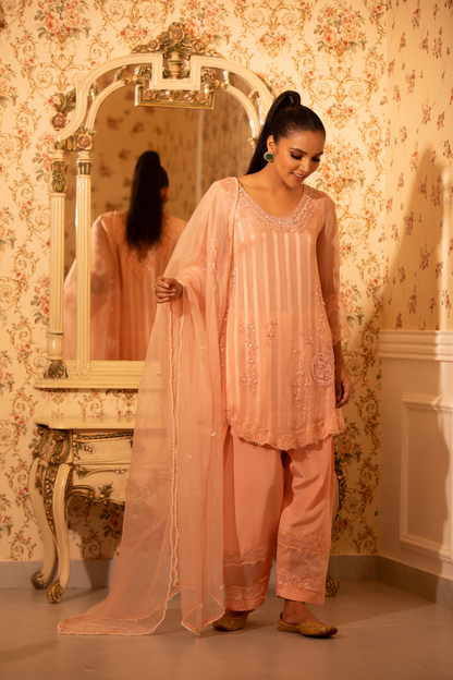 Blush Dream Organza 3pc Set